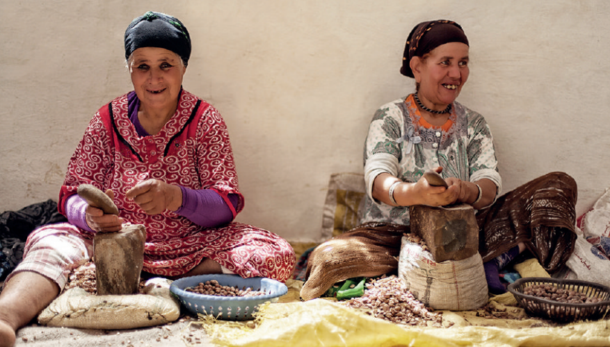 Loi sur les coopératives : vers un modèle plus simple et plus résilient